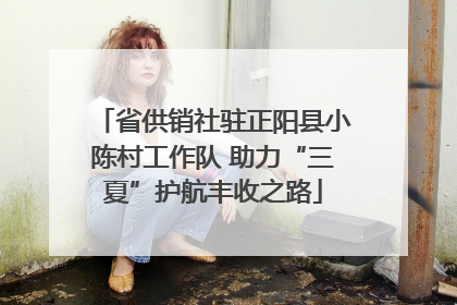 省供销社驻正阳县小陈村工作队 助力“三夏”护航丰收之路